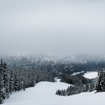 [Group 0]-IMG_3998_IMG_4000-3 images_0000-2