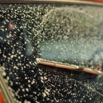 Fresh Snow on the Windshield
